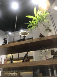 -简影造型·自选烫染接发salon