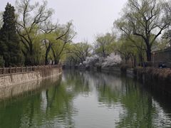 -颐和园