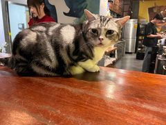 -咖法森林·咖啡  酒吧(天河店)