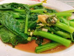 广东菜心-澳门陈光记烧味饭店(郎家园店)