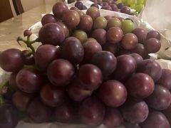 -马陆小张葡萄园农家乐