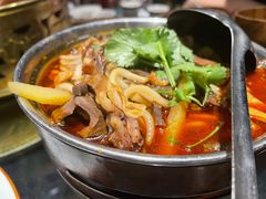 红汤羊杂-蒙料·手把肉(望京店)
