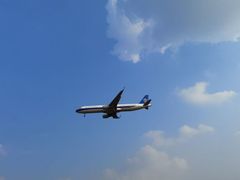 -空港花田景区