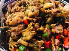 青椒紫苏锅-蛙小侠(珠海华发商都店)