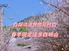-四明山国家森林公园