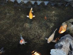 -道南書院·私房菜·早午茶·茶馆