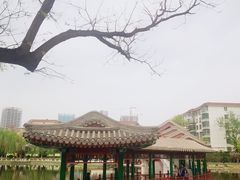 -西海子公园