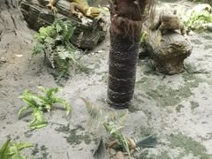 -安徽省地质博物馆