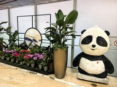 -首都机场t3-c国航两舱休息室