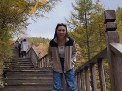 -苏木山森林公园