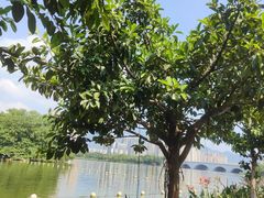 -飞来湖湿地公园