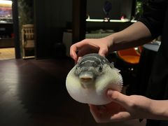 -肆月河豚·淮扬菜·湘菜(华天店)
