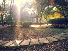 android_upload_pic-府山公园