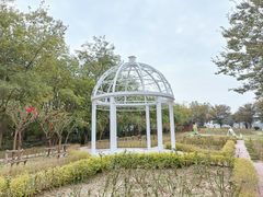 -鹅湖玫瑰文化园