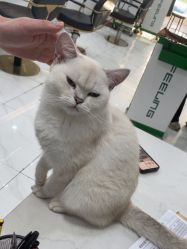 点击看大图 -镁连社·美联社