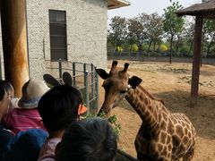 -石家庄市动物园