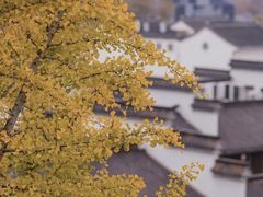 -老门东历史文化街区