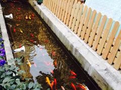 -老洋房花园饭店(绍兴路店)