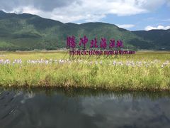 -腾冲北海湿地