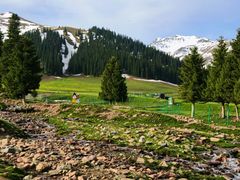 -新疆那拉提国家旅游度假区