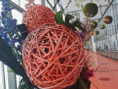 -上海鲜花港