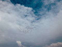-西湖游船