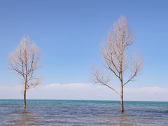 -青海湖国家重点风景名胜区