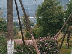 -桂溪生态公园