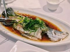 清蒸鱼-大三元 Crystal Seafood Restaurant Carlingford