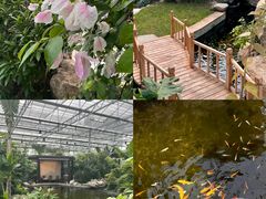 -万源龙顺度假庄园生态观光园