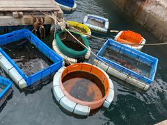 -三亚西岛海洋文化旅游区