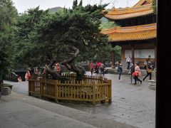 -法雨寺餐厅