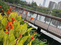 -四海公园(南山区)