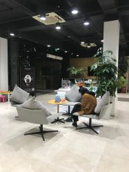 点击看大图 -CARR SALON