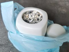 -彩虹桥宠物火化殡葬善终服务(金乐大厦店)