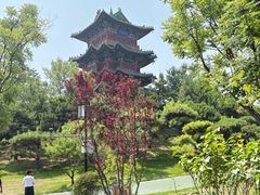 -迎泽公园