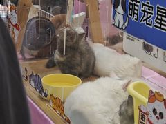 -宁波鄞州万达广场