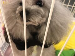 -北京华联购物中心(同成街店)