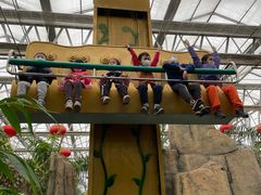 -南宫五洲植物乐园