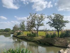 -嘉北郊野公园