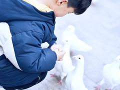 -合肥融创乐园