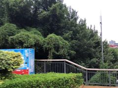 -金鸡山公园