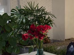 -开间茶馆·围炉煮茶