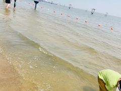 -碧海金沙