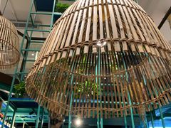 -浩源美食·椰子鸡