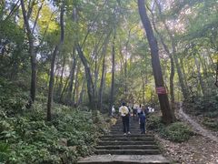 -杭州黄龙洞
