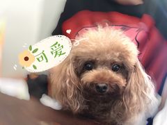 -滇咖啡体验店
