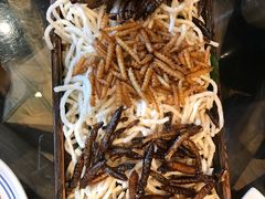 -云海肴·汽锅鸡·云南菜(天山百盛优客店)