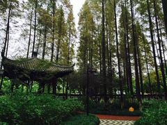 -瀛洲公园