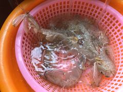 -花乐餐厅(涠洲岛店)